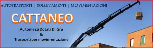 Trasporti con gru Milano